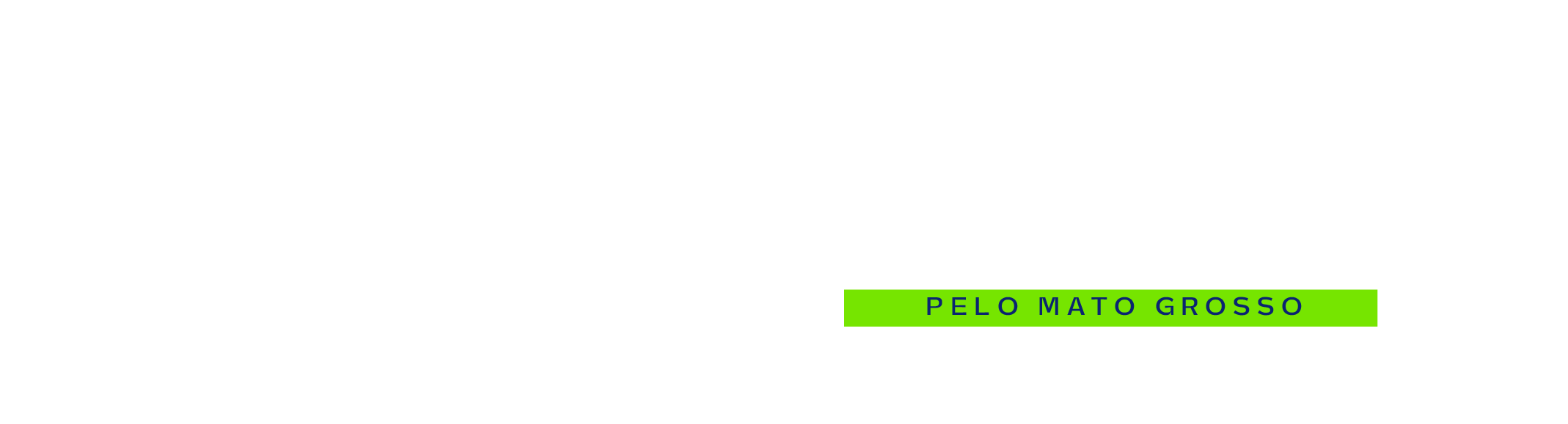 Logo Luiza Böer